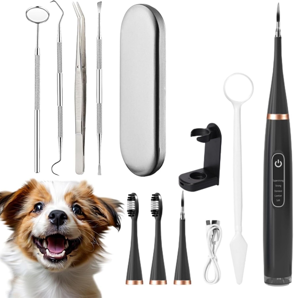 Rarepet Dog Teeth Cleaner, Rarepet Canident - Sonic Tooth Cleaner