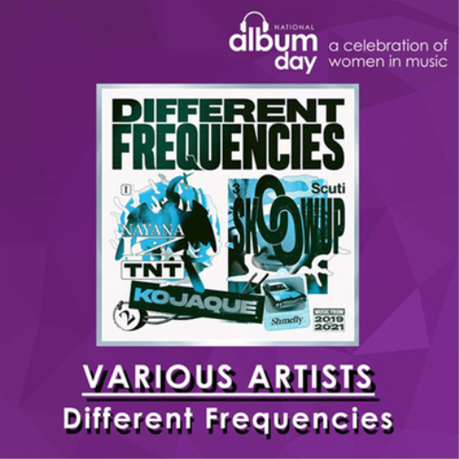 Various Artists Different Frequencies (NAD 2021) (Vinyl LP)