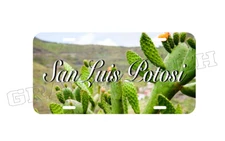 SAN LUIS POTOSI MEXICO PLACA DE ALUMINIO IMPRESA PARA VEICULO 