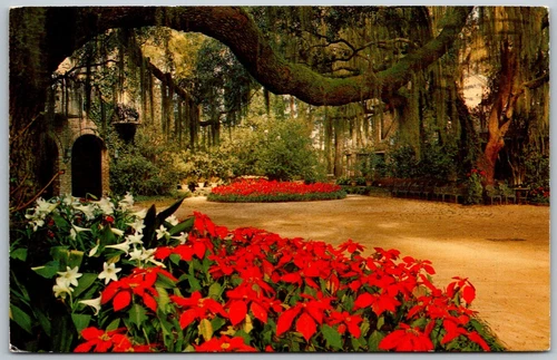 Mobile Alabama 1973 Postcard Bellingrath Gardens Seasonal Flowers