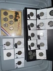 Buffalo And V Nickel coin Lot