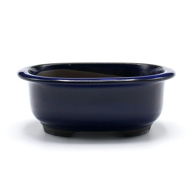 Japanische Seto Ware Blau Namako Oval Tiefe Bonsai Topf 7 Go