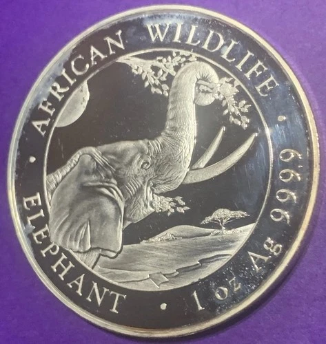 2023 Somalia 1oz 9999 Silver African Wildlife Elephant Proof - Beautiful Coin!