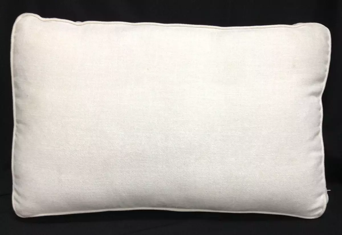 1 Pottery Barn sofa chair BACK REPLACEMENT poly CUSHION w slipcover 30x20 Ivory