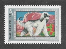 Dog Art Full Body Portrait Postage Stamp BlkMskRed AFGHAN HOUND Hungary 1972 MNH