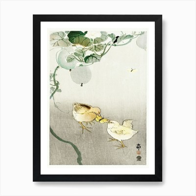Zwei Küken kämpfen um einen Schmetterling gerahmtes Wandbild Poster Leinwanddruck Bild
