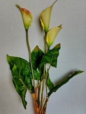 VINTAGE Calla Lily Bush