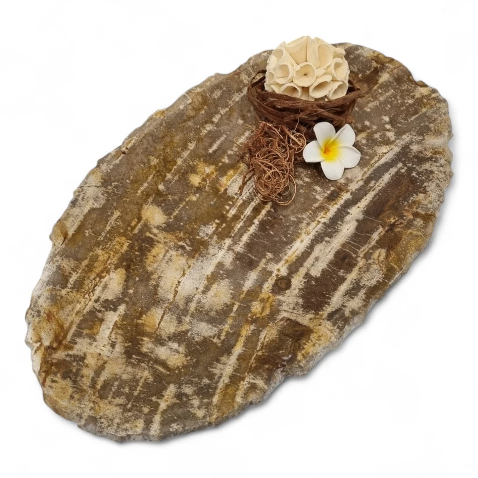 Bandeja de cuenco decorativo de madera fosilizada piedra natural rústico ovalado Foto 3 de 4