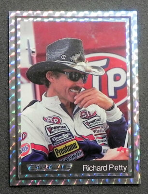 RICHARD PETTY 1991 SPEEDWAY Silver PRISM Border/Logo Card (STP) _