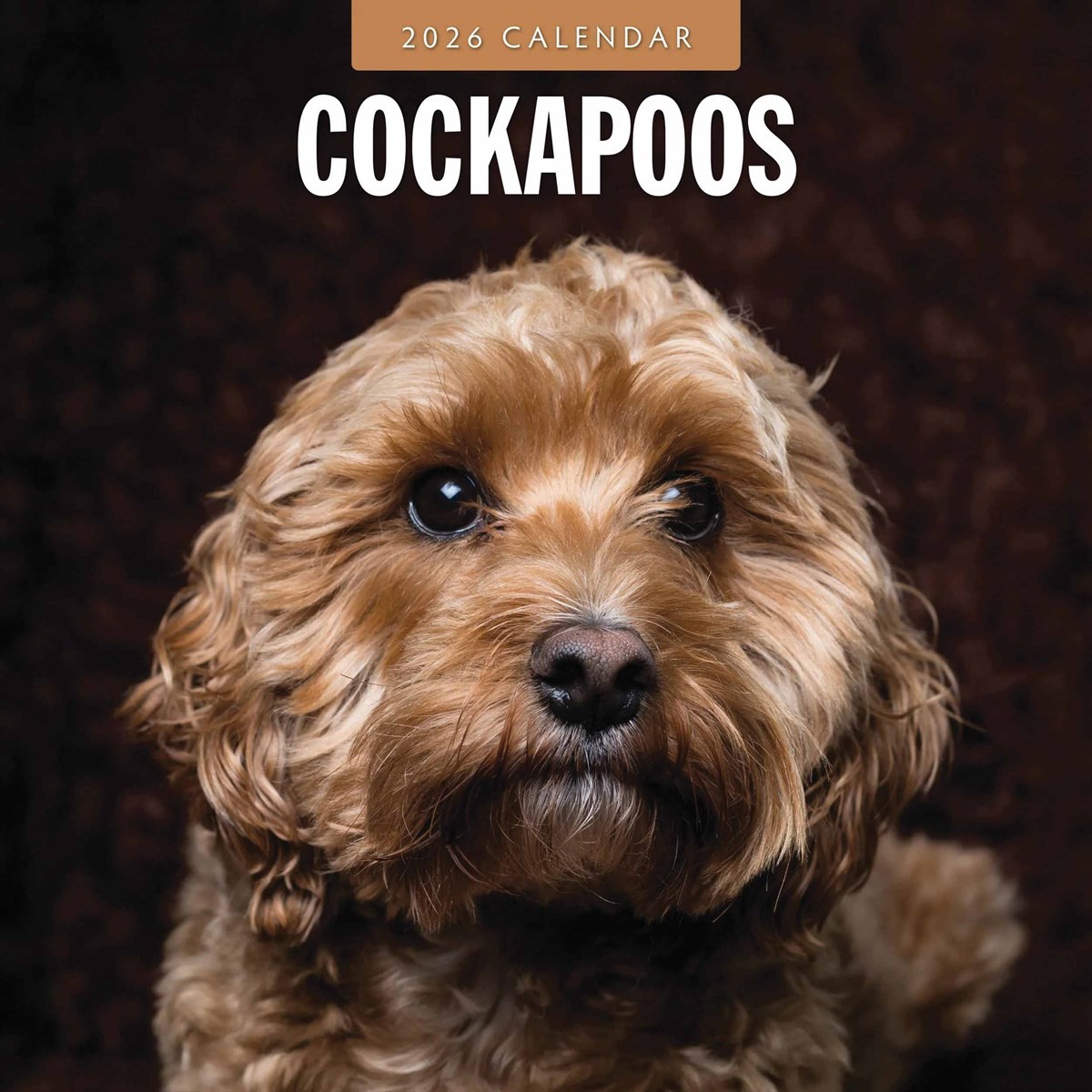 Cockapoos Calendar 2026, Wall Calendars, Month To View, Dogs, Gift