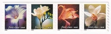 STAMP US SCOTT 3465a "Flowers" First Class 2000 MNH 34 CENTS STRIP OF 4 COIL