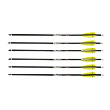 TenPoint Pro Elite 400 Carbon Crossbow Arrows with Alpha-Nocks (6-Pack)