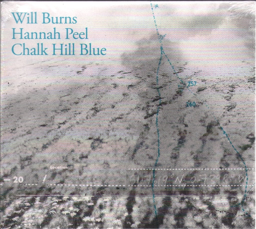 Chalk Hill Blue - Image 2