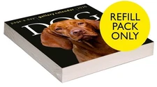 Dog Page-A-Day Gallery Calendar Refill Pack 2026 by Workman Calendars