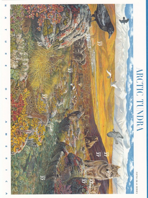 Antarctic tundra, Wild animals Scott 2003 # 3802
