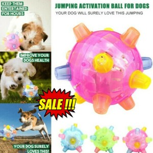 illuminated dog ball