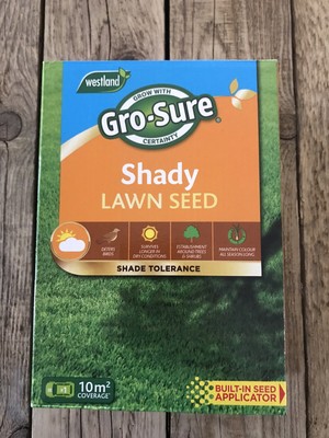 shady lawn seed