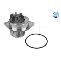 Wasserpumpe MotorküHlung FüR Citroen Xsara N0 N1 N2 N68 97 Bis 10 Meyle Teil KDY
