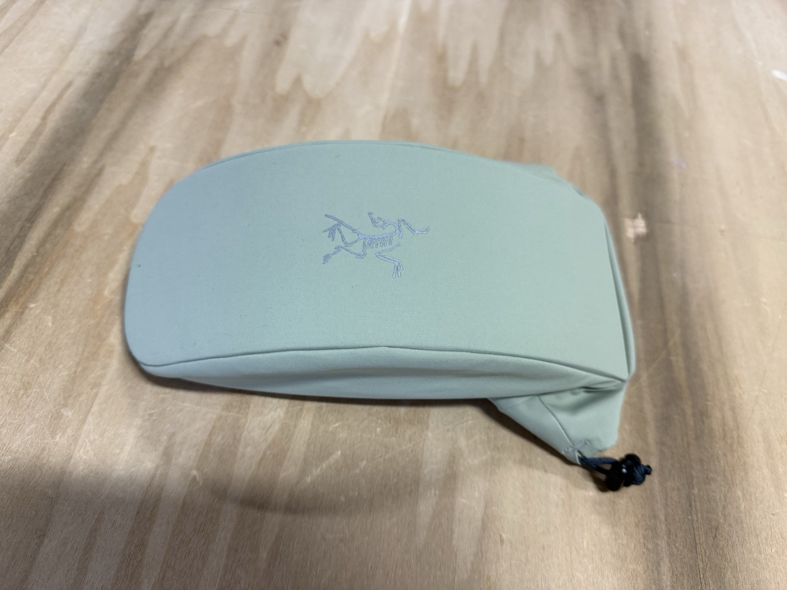 Arc'teryx Powderface Case Goggle Case Bag GREEN TEA