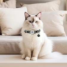 Reflective Cat Collar with Bell, Set of 2, Solid Safe Collars for Cats, Nyl...