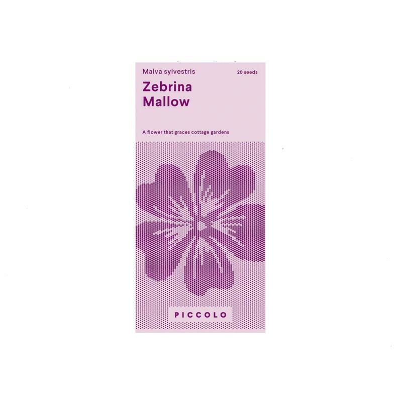 Piccolo Garden Flowers Open Pollinated Urban Grow Zebrina Mallow Plant Seeds
