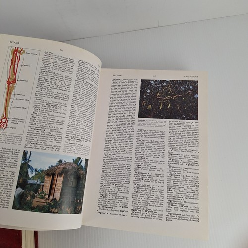The New Oxford Illustrated Dictionary. Reprinted 1981. VGC Hardcover Two Volumes - Picture 12 of 14