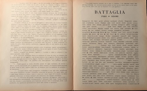 Supplemento al Manifesto tecnico della Letteratura futurista 1912 - Picture 2 of 2