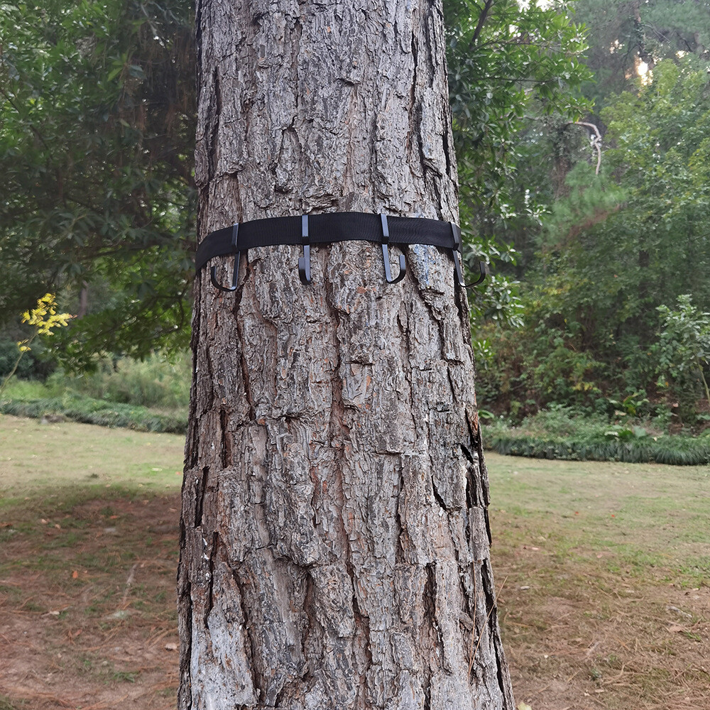 Picture 6 of 6