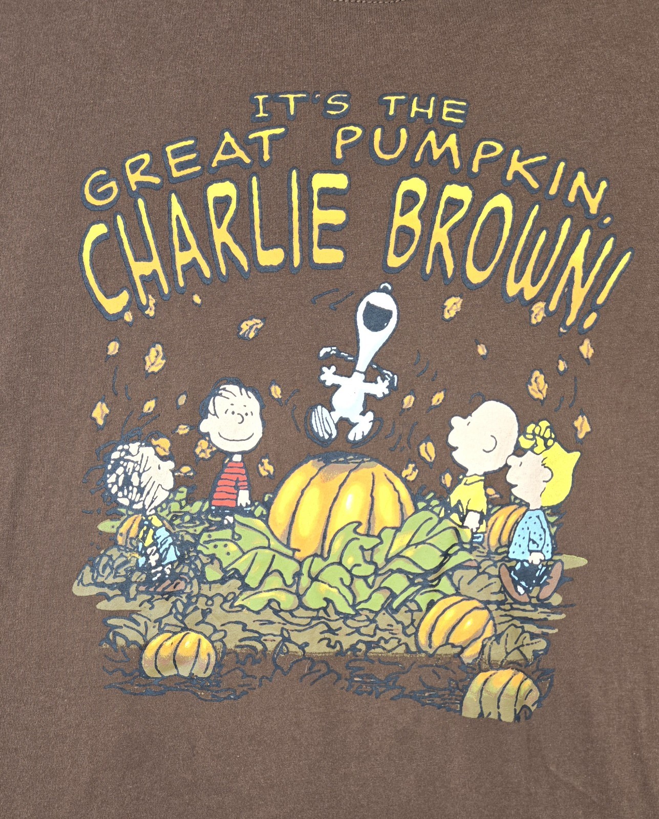 Charlie Brown Great Pumpkin Shirt Mens XXL Halloween Pumpkin Patch Tee  