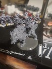 canis wolfborn With nicely painted assault intercessors — photo 1