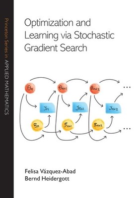 Optimization And Learning Via Stochastic Gradient Search