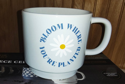 Thyme and Table Bloom Where You're Planted Mug Daisy New