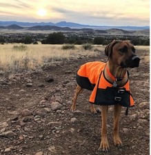 Water Roof Wearable Dog Blanket