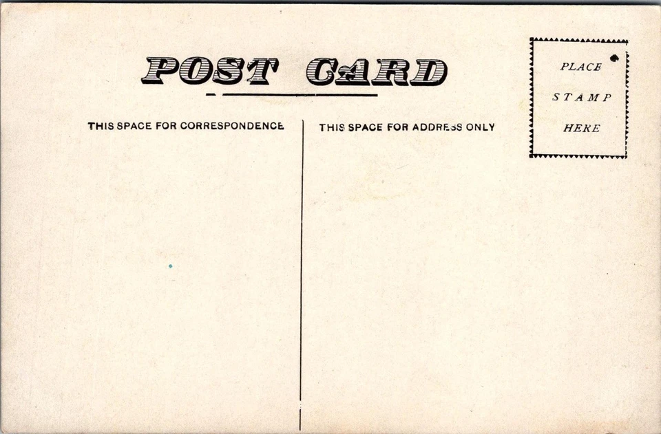 Postal Nueva Escocia Ricks Tygart's Valley River cerca de Elkins West Virginia W VA Foto 2 de 2