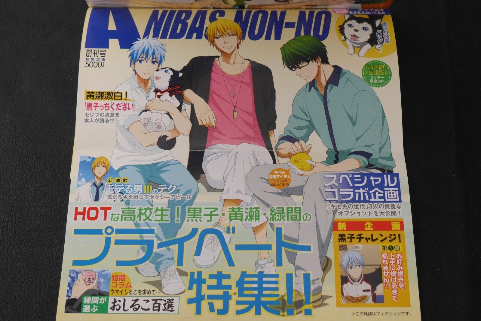 Kuroko no Basuke TV Anime Characters Book Anibus Vol. 2