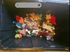 TY Beanie Babies Plush Stuffed Animals Large Assorted Lot Ages 12M-11Y