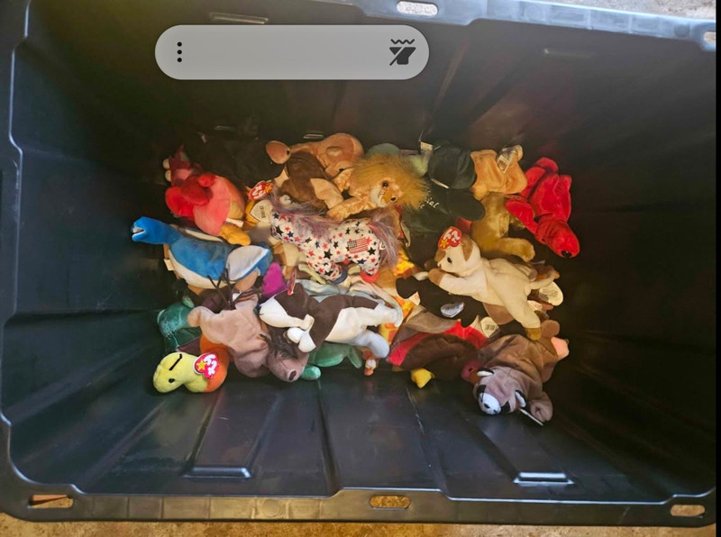 TY Beanie Babies Plush Stuffed Animals Large Assorted Lot Ages 12M-11Y