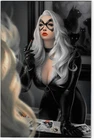Amazing Spider-Man #1 Warren Louw Black Cat Virgin Variant NM