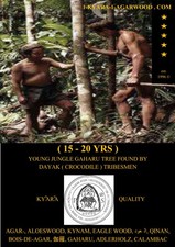 18,88 g "MANABAN" FS A.MICROCAPA BROWN KYNAM KYἏRἏ LEGNO DI AQUILA ALOES AGAR LEGNO OUD