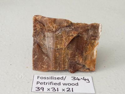 34 4g Petrified Wood Chunk Rough For Cabs Fossils Specimens Display Xilopalo Ebay