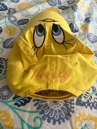 Kids Six Flags Tweety Bird Strap Back Cap Looney Tunes Youth Size - Picture 4 of 7