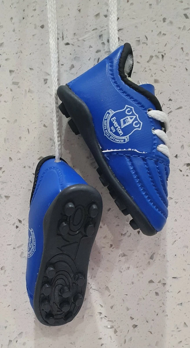 Everton football boots sale