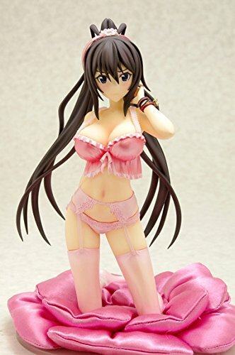 Limited Ver. Lingerie style IS Infinite Stratos Houki Shinonono