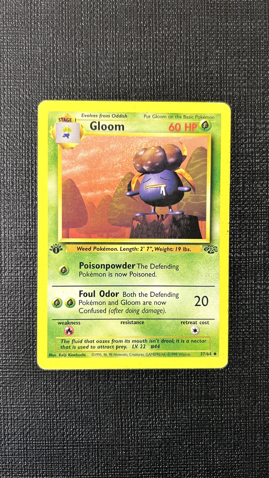 Gloom 37/64 Jungle 1st Edition English 1999 MP