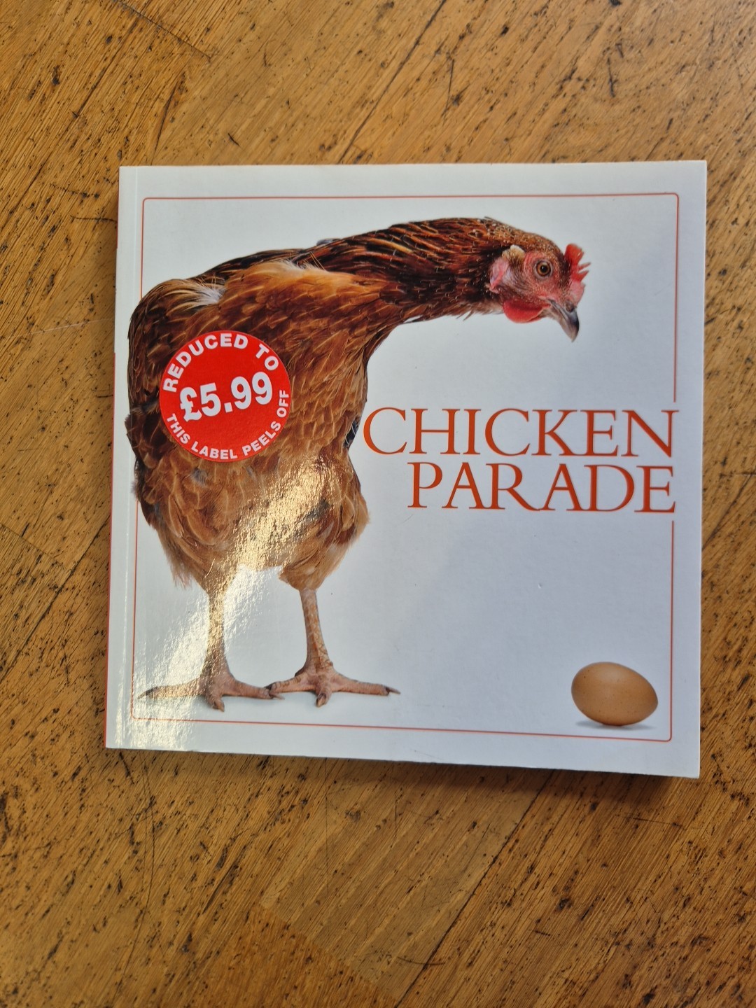 Chicken Parade chicken photographs hens poultry phootgraphy hen birds pet pets