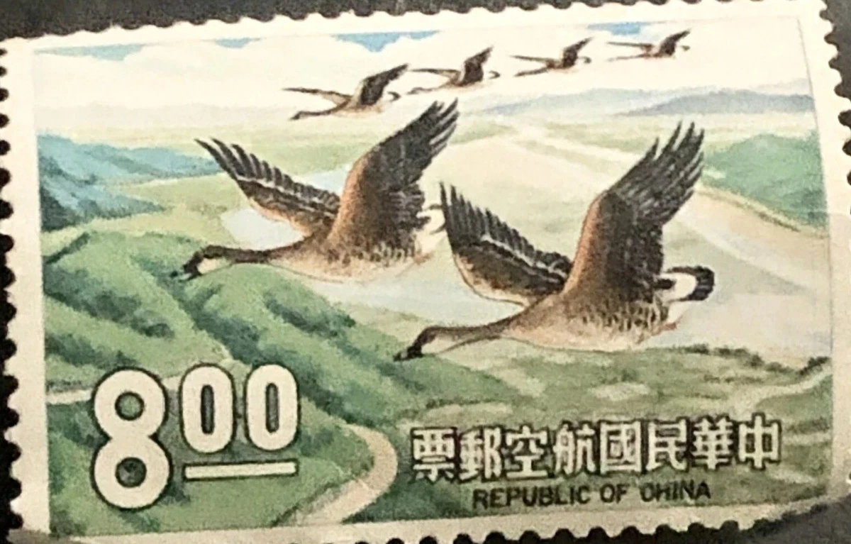 鸟类邮票中国邮票| eBay