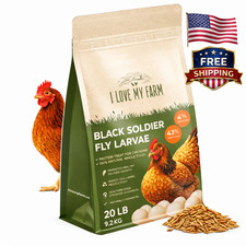Black Soldier Fly Larvae for Chickens 20 lb  High Protein Poultry Treat BSF