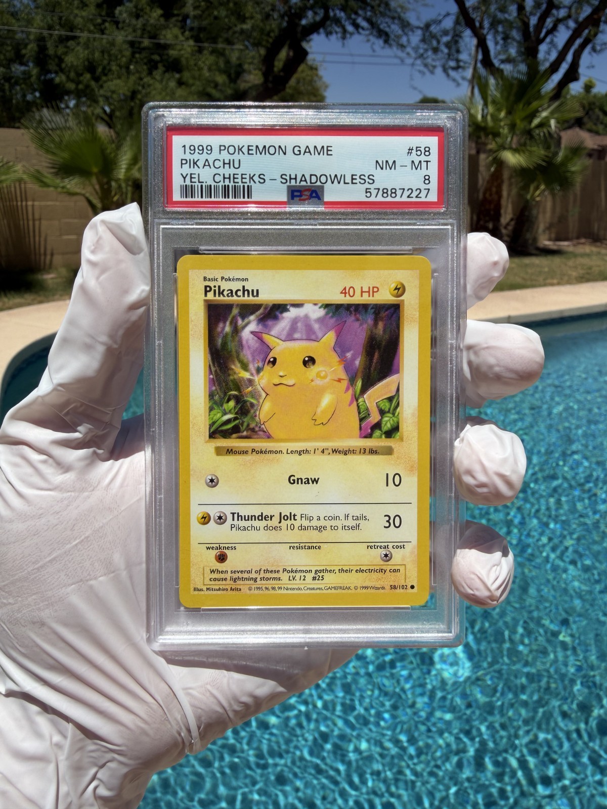 1999 Pokémon Base Set Shadowless Pikachu Yellow Cheeks #58 PSA 8 NM-MT