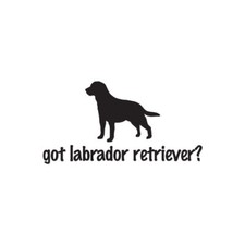 Got Labrador Retriever - Decal Sticker - Multiple Color & Sizes - ebn1253