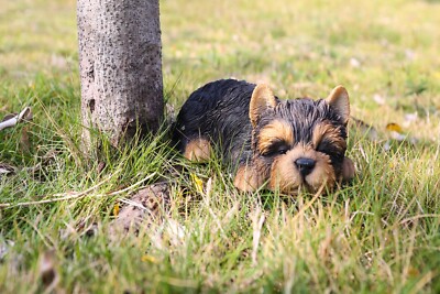 Sleeping Yorkshire Terrier Puppy Dog Garden Statue Tabletop Decor Gift Option